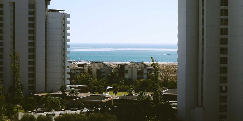 Mac用户必备！精选知识分享与免费资源软件下载站合集