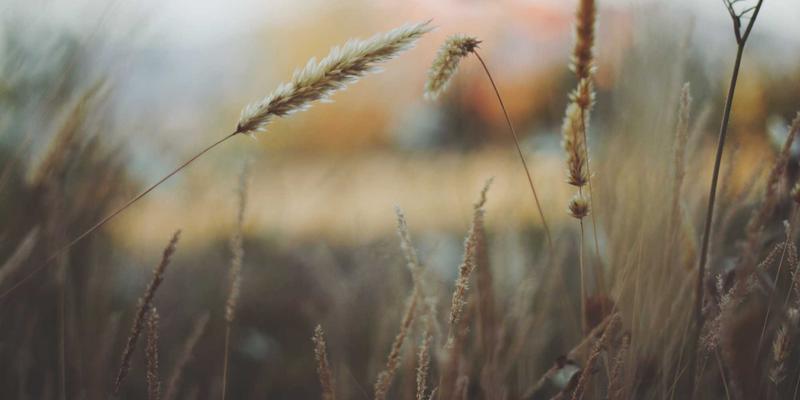 专业字体资源下载全攻略：商用字体、开源字型与设计工具一站式获取