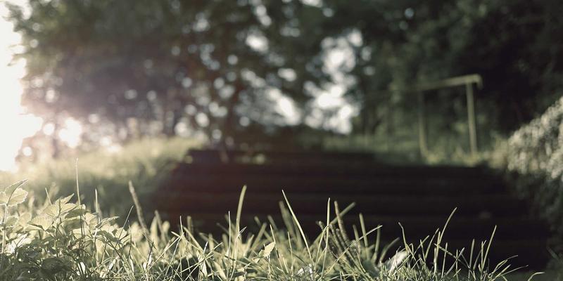 专业软件正版资源下载与激活全攻略：免费资源、技术文档与知识分享