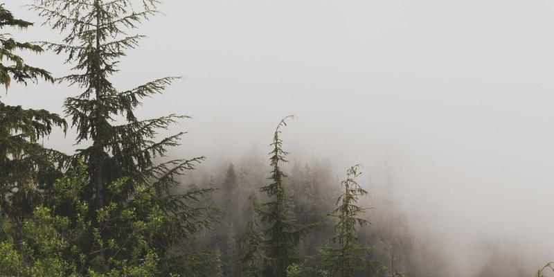 免费资源下载与知识分享：如何安全高效获取软件与学习资料