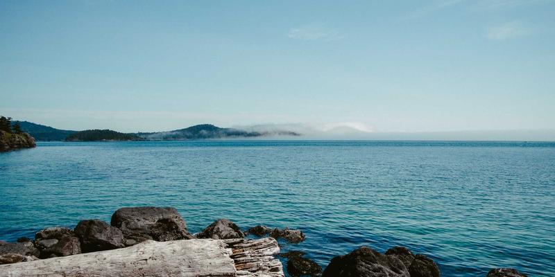 免费资源与知识分享：一站式获取开源硬件设计的技术文档宝藏