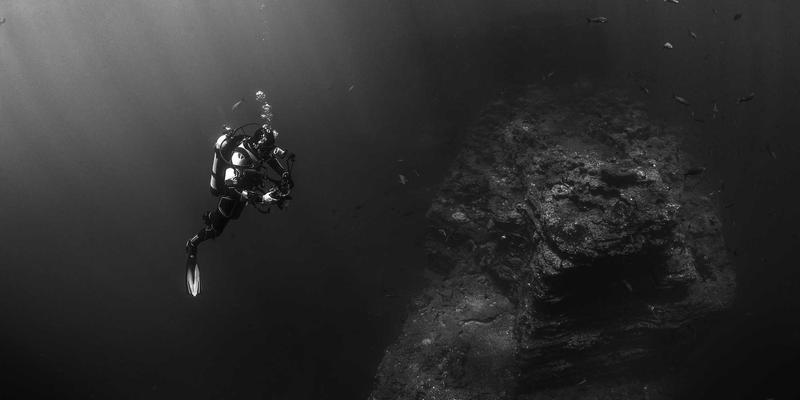 学术会议演讲视频与PPT资料获取途径全解析：免费资源下载与知识分享指南
