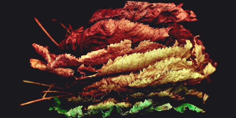 技术文档与教程资源下载全攻略：高效获取与利用指南