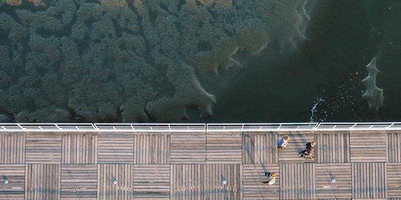 技术文档与软件下载全攻略:如何高效获取免费资源