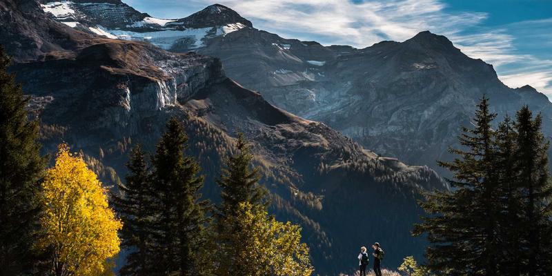 独立电影制作资源整合：免费下载低成本剧本模板、分镜工具及电影节投递包