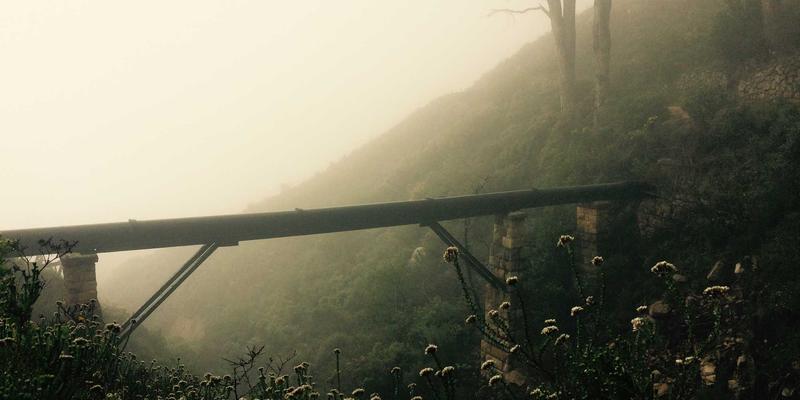 知识分享新时代：如何安全高效获取免费资源下载？