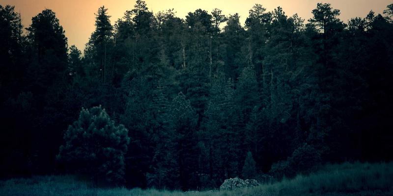 资源下载52：解锁教程、技术文档与知识分享的高效获取之道