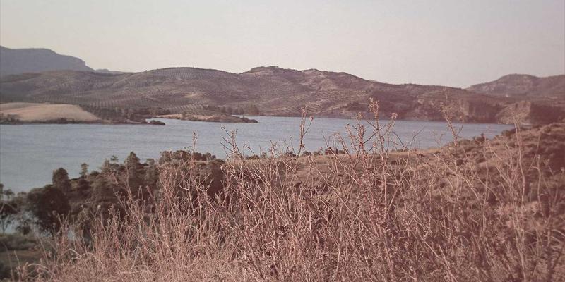 资源下载61:高效获取教程、知识分享与技术文档的终极指南