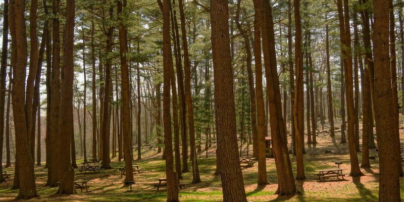 资源下载68：精选教程与免费资源，开启知识分享新维度