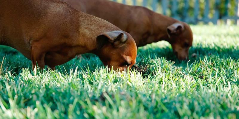 资源下载全攻略:如何安全高效获取教程与软件资源