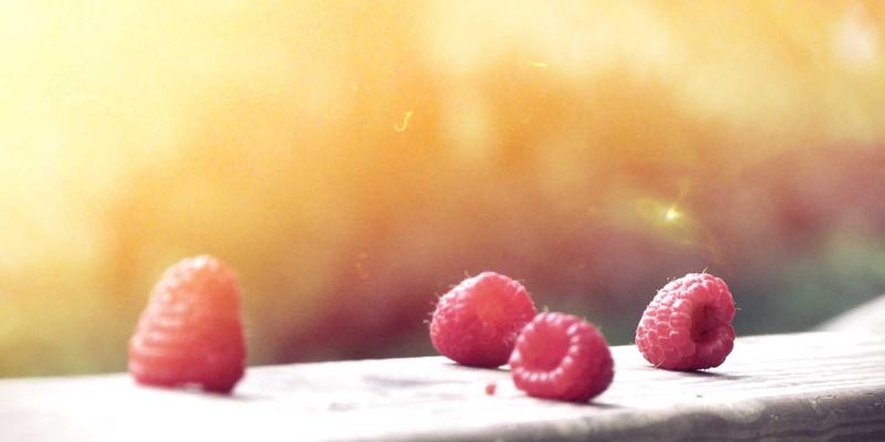 资源下载安全指南:高效获取教程与免费软件的5大黄金法则