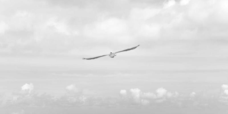 软件下载与技术文档指南：如何安全高效获取免费设计资源与素材