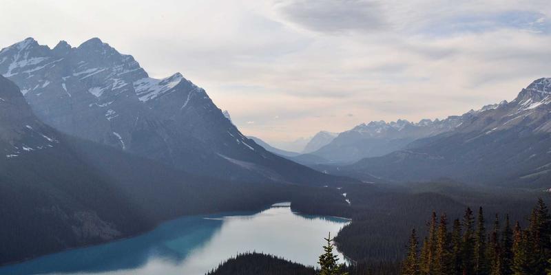 软件下载、知识分享与技术文档：构建高效数字资源生态的三大支柱